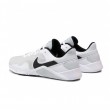 Buty Nike Legend Essential 2 CQ9356 002 Pure Platinum